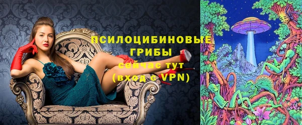 ГАЛЛЮЦИНОГЕННЫЕ ГРИБЫ Горнозаводск