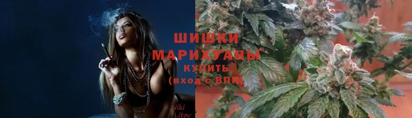 сатива Горняк