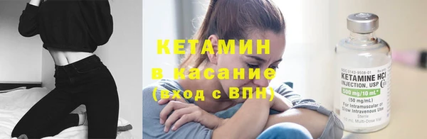 сатива Горняк