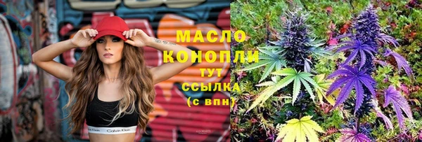сатива Горняк