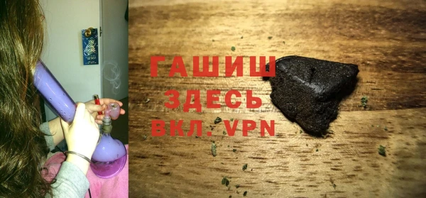 сатива Горняк