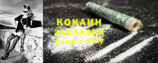 сатива Горняк