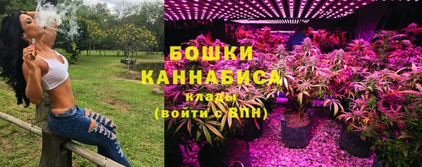 ГАЛЛЮЦИНОГЕННЫЕ ГРИБЫ Горнозаводск