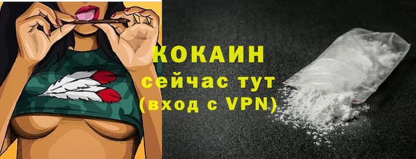 сатива Горняк
